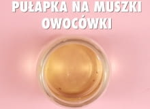 Pułapka na muszki owocówki Pułapka na muszki owocówki