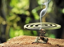 Kadzidełka odstraszające komary shutterstock_113463280_Stocksnapper