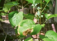 IGp{oqk1kw U/UpeEc{m:O;gVZ4HnMVz58]7V_WH!z}&Wg@#?Qm0SpcHa3izm&s}@OlhADZl:G9kADt|.mW5Z[Q1u^c=BC=[Ww=pwSNwm_Ce_kMNmp9ycIvmld