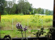 Stan na chwilę obecną. Stan obecny