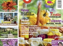 Magnolia 09.2015 Magnolia 09.2015