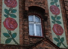 Róże Nikiszowca Róże Nikiszowca