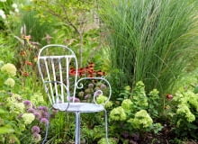 Trawy ozdobne w donicy