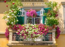 Jak urządzić ogród w mieście- balkon pełen kwiatów Jak urządzić ogród w mieście- balkon pełen kwiatów