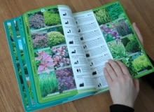 Katalog roślin Katalog roślin