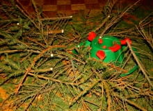 Choinka po świętach - Jak się jej pozbyć?