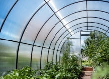 Na co zwrócić uwagę, kupując szklarnię ogrodową?
