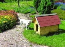 Nie wszystkie psy dają się przekonać do budy. Jeśli jednak będzie wygodna i ustawiona w dobrym miejscu, jest szansa, że zwierzak doceni zalety posiadania własnego "domu". buda dla psa,pies,psy,ogród