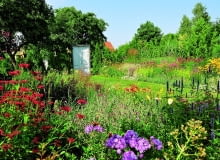 Imponujące bylinowe rabaty w słonecznym "pokoju", środkiem wiedzie trawiasta ścieżka. Imponujące bylinowe rabaty w słonecznym "pokoju", środkiem wiedzie trawiasta ścieżka.