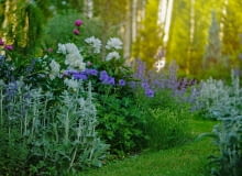 Trendy ogrodnicze w 2025 r Trendy ogrodnicze w 2025 r