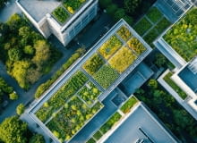 Zielone dachy Zielone dachy