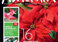 Okładka miesięcznika Kwietnik nr 12/2011