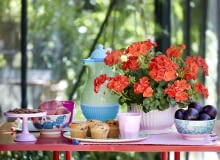 Dekoracja stołu Dekoracja stołu