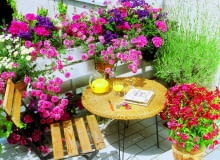 Na tym tarasie aromatów jest cały bukiet. W słońcu pachną lawenda i heliotrop, a wieczorem tytoń. Barw dodają im werbena, pelargonia i srebrzeń.