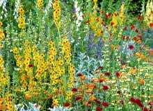 Usuwanie chwastów Usuwanie chwastów