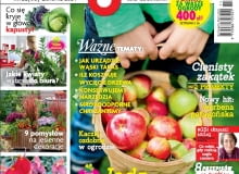 Magazyn Magnolia numer 11 Magazyn Magnolia numer 11