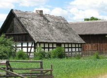 Chałupa szkieletowa i stodoła z Dzierżążna Wielkiego, połowa XIX wieku. Muzeum Kultury Ludowej w Osieku chałupa i stodoła z Dzierżążna Wielkiego poł. XIX w.,