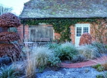 Wystarczy kilka umiejętnie dobranych roślin, by ogrodowy zakątek wyglądał niebanalnie, jak dobrze skrojony, elegancki garnitur. Wystarczy kilka umiejętnie dobranych roślin, by ogrodowy zakątek wyglądał niebanalnie, jak dobrze skrojony, elegancki garnitur.