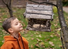 Dzieci karmią ptaki Dzieci karmią ptaki