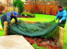 Jako okrycie dla zimozielonych krzewów może służyć stroisz i siatka cieniująca. 12.11.2003 ZALESINEK OGROD JESIEN OGRODOWE PRACE JESIENNE PRZYKRYWANIE KRZEWY LISCIASTE MATA OCHRONNA ZABEZPIECZENIE ROSLIN OKRYWANIE PRZED ZIMA DO PISMA KWIETNIK ARANZACJA PANI DANUTA MLOZNIAK FOT. PAWEL SLOMCZYNSKI / AGENCJA GAZETA PUBLIKACJA KWIETNIK NR 11 (131) - 11.2005