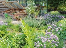 W czerwcu Ogród Bellingham na Kaszubach otwarty jest w soboty w godz. 12.00-16.00 W czerwcu Ogród Bellingham na Kaszubach otwarty jest w soboty w godz. 12.00-16.00