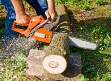 Większości z nas pilarka łańcuchowa kojarzy się z wielkimi, hałaśliwymi maszynami z filmów rozrywkowych czy horrorów - dlatego w pierwszym odruchu często szukamy w sklepach pilarek podobnie imponujących rozmiarów. Na domowy użytek lepiej jednak kupić urządzenie znacznie mniejsze - z prowadnicą o długości 30-40 cm. Będzie wygodniejsze i z pewnością zaspokoi wszystkie potrzeby użytkowe przeciętnego właściciela domu. pilarka łańcuchowa, zestaw narzędzi, narzędzia warsztatowe