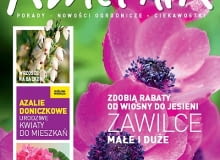 Okładka miesięcznika Kwietnik 03/2012