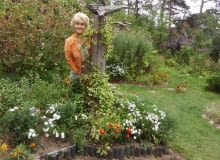 Dziki ogród pani Grażyny. ogród