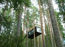 TreeHotel - hotel na drzewie TreeHotel