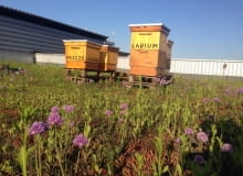 Dach Warszawskiego Centrum Handlowego Arkadia Dach Warszawskiego Centrum Handlowego Arkadia