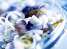 DO JEDNORAZOWEJ PUBLIKACJI