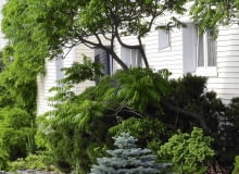 Sumak octowiec PONOWNA PUBLIKACJA PO UZGODNIENIU Z REDAKCJA !!! DOM I OGROD PRYWATNY PANSTWA GOLASZEWSKICH NZ STRUMYK , POTOK FOT. LILIANNA SOKOLOWSKA PUBLIKACJA OGRODY NR 6 (122) - 6 2009 SLOWA KLUCZOWE: OGRODY WODA XNO ZDJĘCIE DO WKŁADKI: PUBLIKACJA OGRODY NR 6 (122) - CZASOPISMA