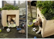 Buda dla psa - zrób to sam Buda dla psa - zrób to sam