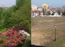 Park przed i po wycince Park przed i po wycince