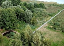 Line - Paweł Grobelny