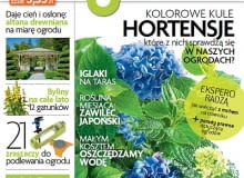 Okładka miesięcznika Magnolia 08/2012