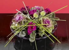 kompozycja z kwiatów doniczkowych fiołki afrykańskie, kapusta ozdobna kompozycja z kwiatów doniczkowych fiołki afrykańskie, kapusta ozdobna