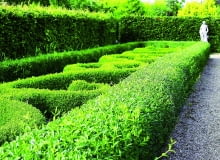 a05.07.2006 DOBRZYCA K/KOSZALINA CENTRUM OGRODNICZE HORTULUSNZ OGRODY TEMATYCZNE HORTULUSA , ROSLINY - STRZYZONE FORMOWANE ZYWOPLOTY UWAGA !!! ZDJECIA ZAMIESZCZAMY Z INFORMACJA PODPISEMHORTULUS W DOBRZYCYDLA CZASOPISMA OGRODY , KWIETNIKFOT. ARKADIUSZ SCICHOCKI / AGENCJA GAZETAPUBLIKACJA OGRODY NUMER SPECJALNY 1/2008 - OGROD DLA CIEBIE - 5 2008