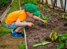 Dlaczego warto angażować dzieci w prace w ogrodzie? Dlaczego warto angażować dzieci w prace w ogrodzie?