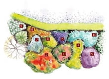 Letnia rabata - projekt