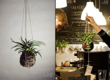 KuleKule, Kule, rośliny bez doniczek, kwiaty bez doniczek, polski projekt, polski design