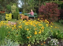 Ogród Pani Grażyny Ogród Pani Grażyny