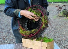 1. Zrobienie wianka ułatwia mi obręcz z wierzbowych pędów (wykorzystuję ją kilka razy jako podkład). Aby wyglądała świeżo, wplatam w nią młode gałęzie brzózek i czerwone pędy derenia białego odmiany 'Sibirica'. Dodaję też mech - spełnia on również funkcję wilgotnej naturalnej gąbki florystycznej. 1. Zrobienie wianka ułatwia mi obręcz z wierzbowych pędów (wykorzystuję ją kilka razy jako podkład). Aby wyglądała świeżo, wplatam w nią młode gałęzie brzózek i czerwone pędy derenia białego odmiany 'Sibirica'. Dodaję też mech - spełnia on również funkcję wilgotnej naturalnej gąbki florystycznej.