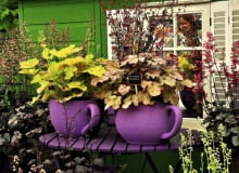 Balkon tylko w żurawkach? Czemu nie. Wielobarwne zestawienia odmian tej byliny wyglądają wspaniale od wiosny aż do mrozów.