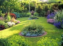 Small country garden with circular island beds and wooden seat