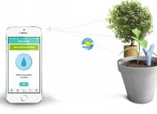 Flower Power Flower Power