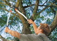 Nożyce z dźwignią 18-krotnie zwiększającą siłę nacisku ułatwiają cięcie.