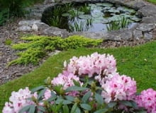 Ogród p. Małgorzaty Wójtowicz-Cichoń, który zdobył pierwsze wyróżnienie w X edycji konkursu "Najpiękniejsze ogrody Czytelników" Ogród p. Małgorzaty Wójtowicz-Cichoń, który zdobył pierwsze wyróżnienie w X edycji konkursu "Najpiękniejsze ogrody Czytelników"