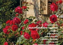 Biuletyn "Róże" Biuletyn "Róże"