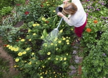 naturalne metody ochrony roślin